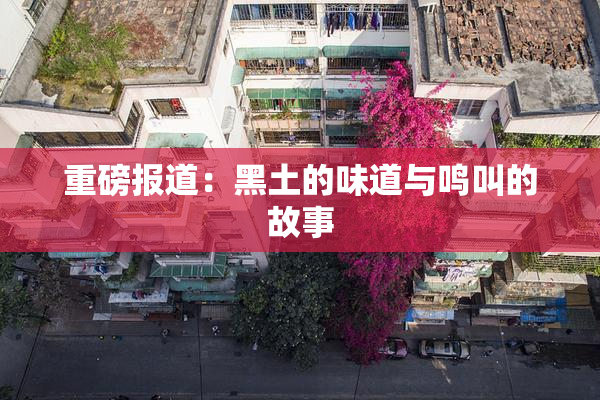 重磅报道：黑土的味道与鸣叫的故事