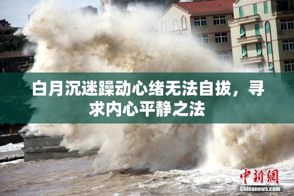 白月沉迷躁动心绪无法自拔，寻求内心平静之法