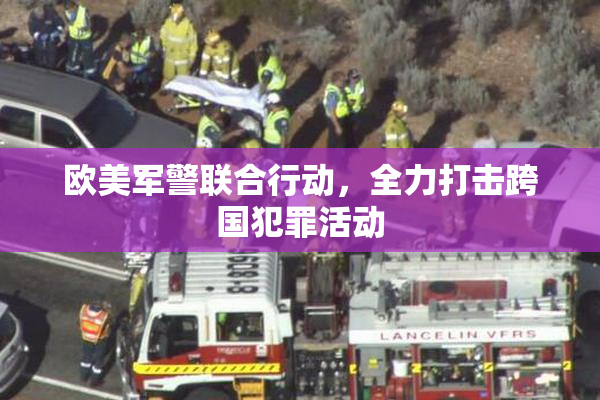 欧美军警联合行动，全力打击跨国犯罪活动