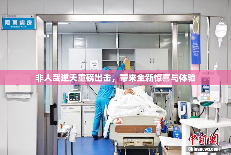 非人哉逆天重磅出击，带来全新惊喜与体验