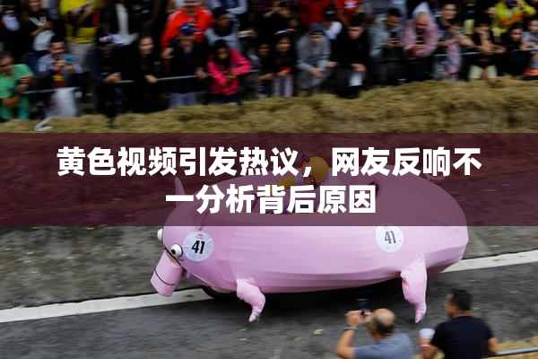黄色视频引发热议，网友反响不一分析背后原因