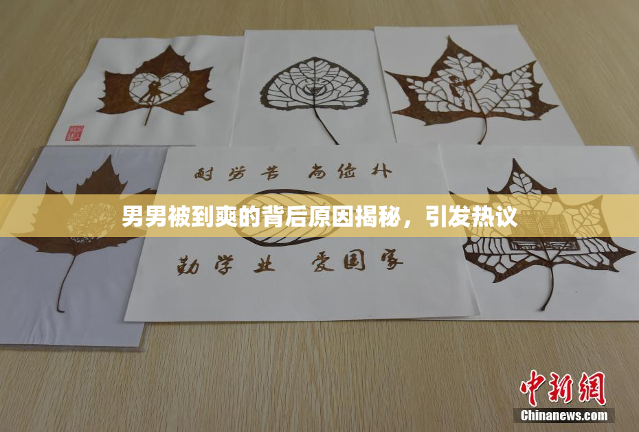 男男被到爽的背后原因揭秘，引发热议