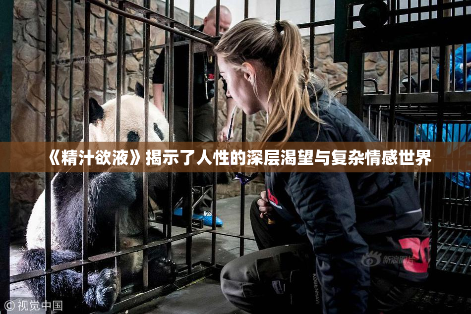 《精汁欲液》揭示了人性的深层渴望与复杂情感世界