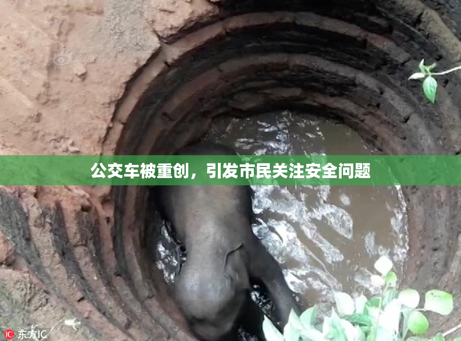 公交车被重创，引发市民关注安全问题