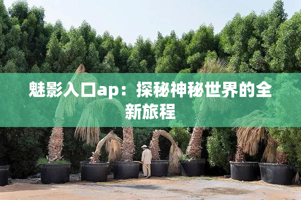 魅影入口ap：探秘神秘世界的全新旅程