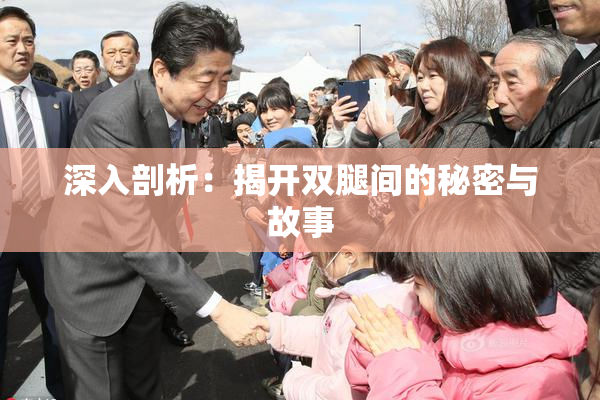 深入剖析：揭开双腿间的秘密与故事