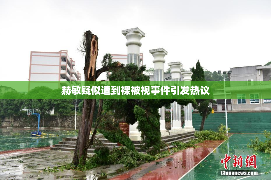 赫敏疑似遭到裸被视事件引发热议