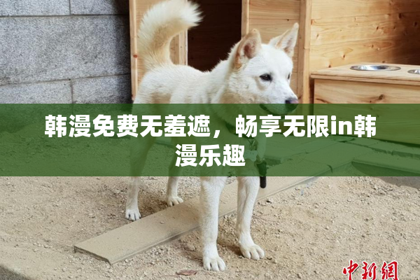 韩漫免费无羞遮，畅享无限in韩漫乐趣