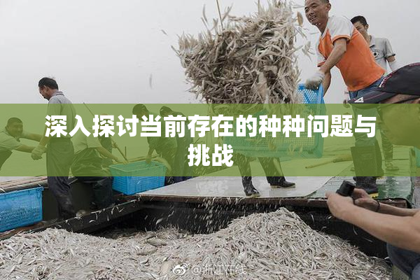深入探讨当前存在的种种问题与挑战