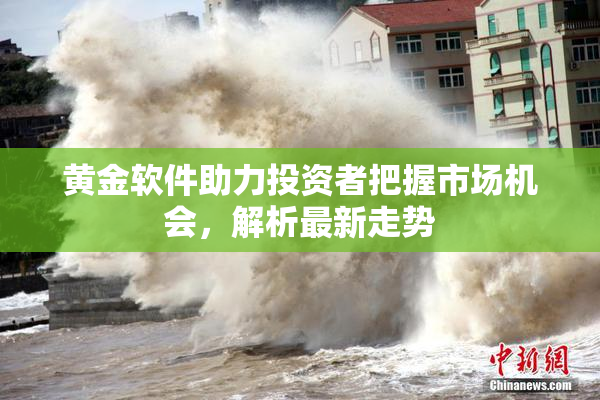 黄金软件助力投资者把握市场机会，解析最新走势