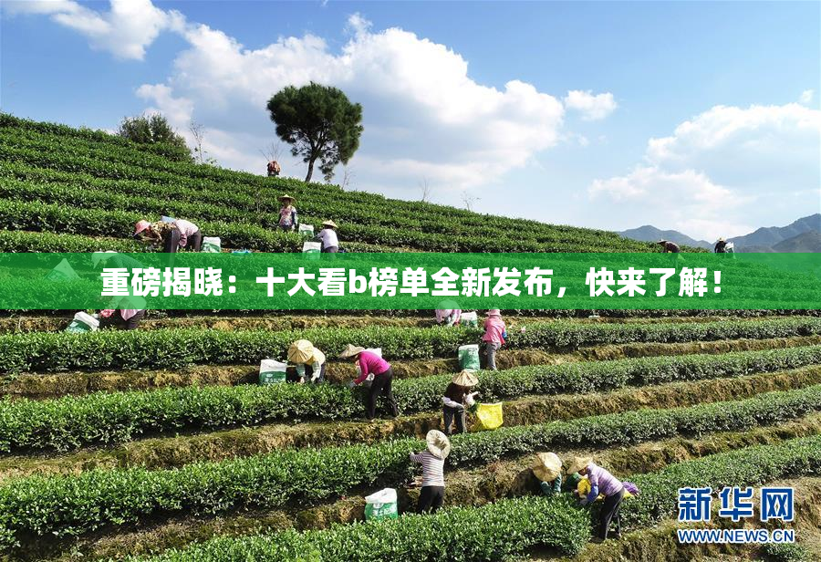 重磅揭晓：十大看b榜单全新发布，快来了解！