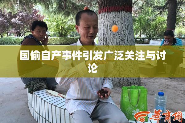 国偷自产事件引发广泛关注与讨论