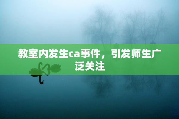 教室内发生ca事件，引发师生广泛关注