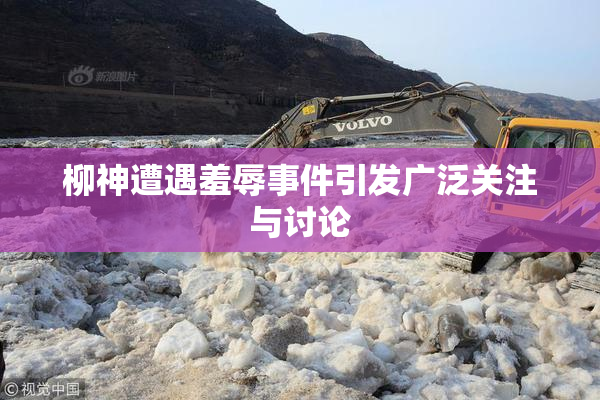 柳神遭遇羞辱事件引发广泛关注与讨论