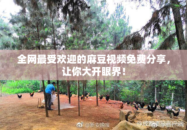 全网最受欢迎的麻豆视频免费分享，让你大开眼界！
