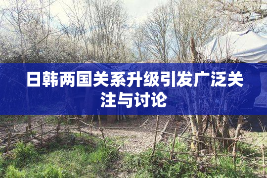 日韩两国关系升级引发广泛关注与讨论