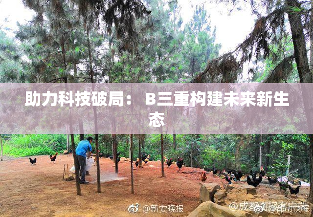 助力科技破局： B三重构建未来新生态