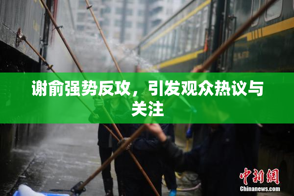 谢俞强势反攻，引发观众热议与关注