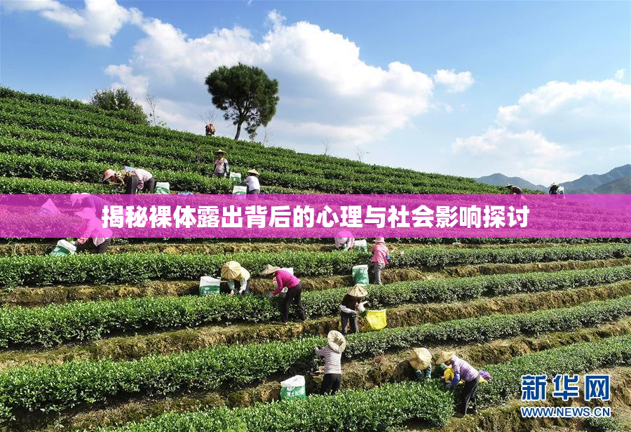揭秘裸体露出背后的心理与社会影响探讨