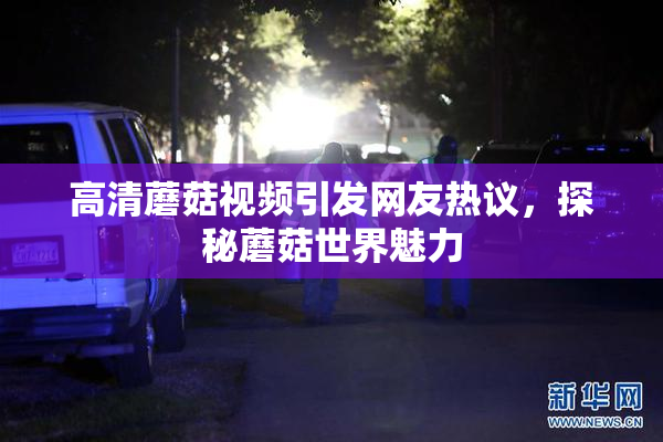 高清蘑菇视频引发网友热议，探秘蘑菇世界魅力