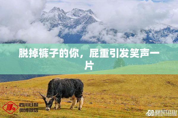 脱掉裤子的你，屁重引发笑声一片