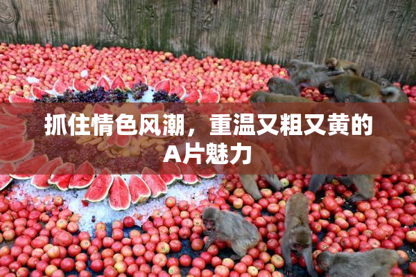 抓住情色风潮，重温又粗又黄的A片魅力