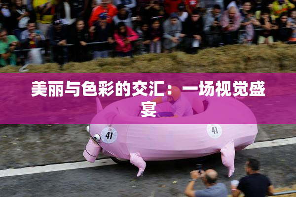 美丽与色彩的交汇：一场视觉盛宴