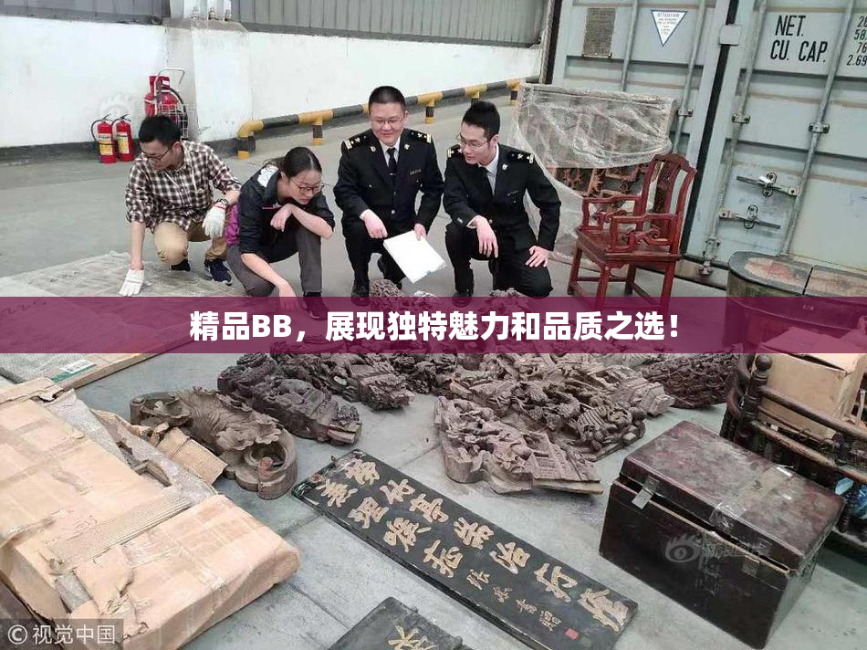精品BB，展现独特魅力和品质之选！