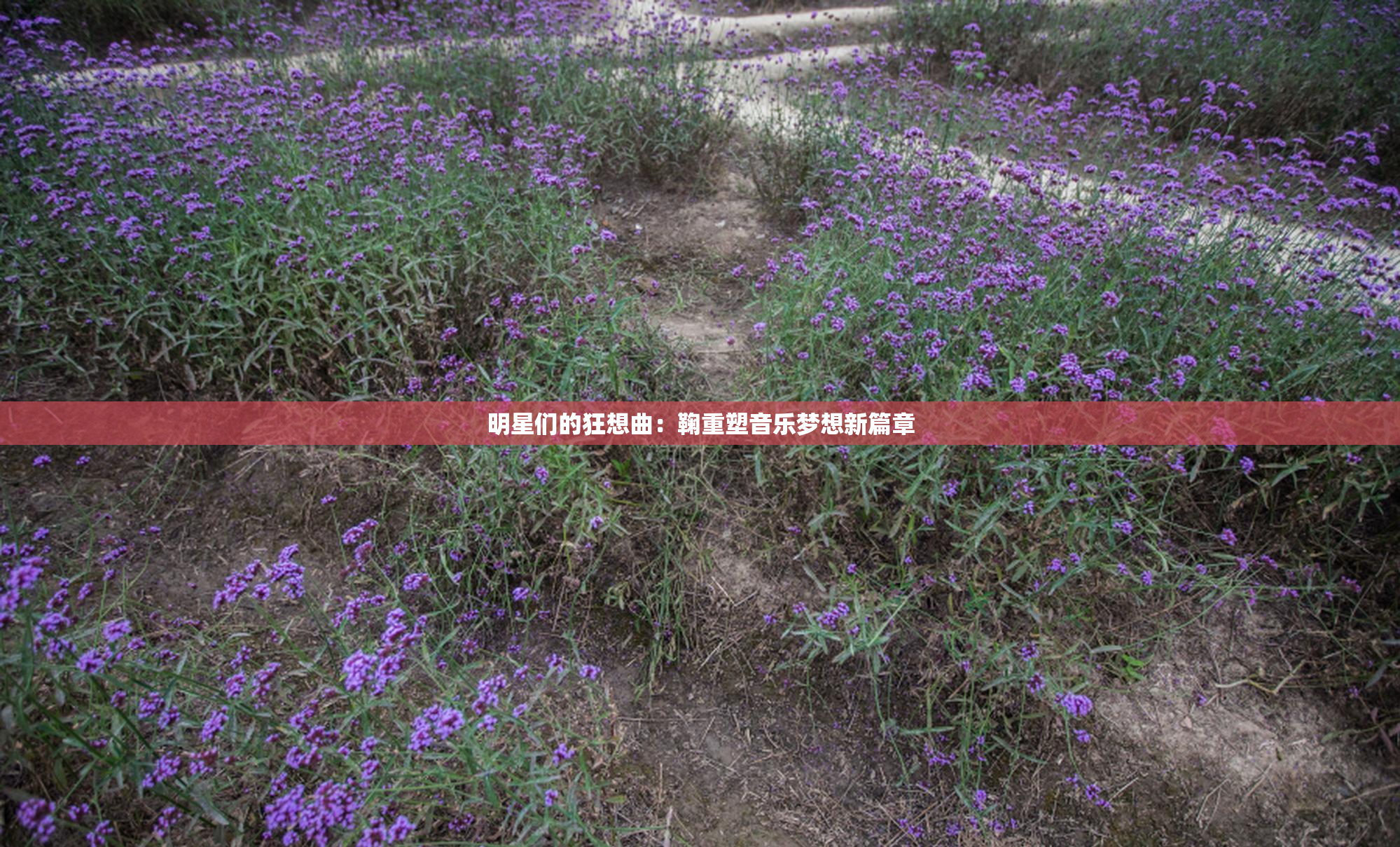 明星们的狂想曲：鞠重塑音乐梦想新篇章