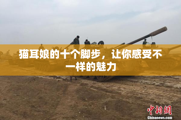 猫耳娘的十个脚步，让你感受不一样的魅力