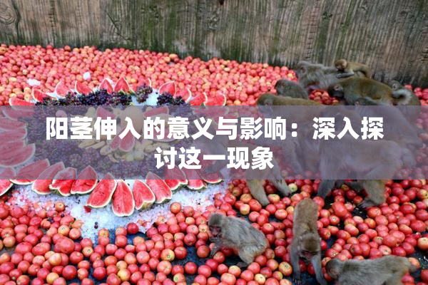 阳茎伸入的意义与影响：深入探讨这一现象