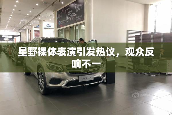 星野裸体表演引发热议，观众反响不一