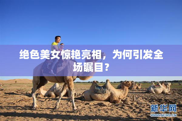 绝色美女惊艳亮相，为何引发全场瞩目？