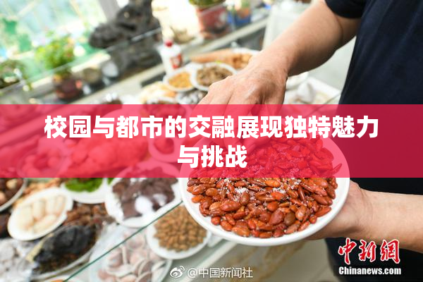 校园与都市的交融展现独特魅力与挑战