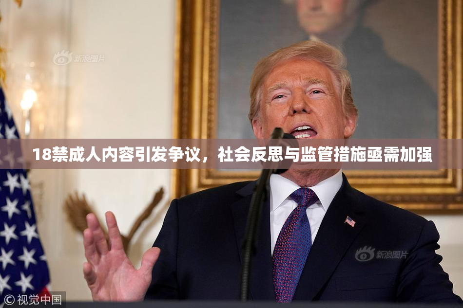 18禁成人内容引发争议，社会反思与监管措施亟需加强