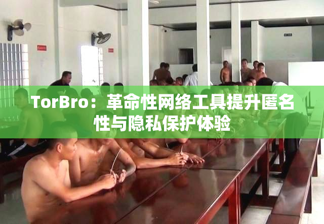 TorBro：革命性网络工具提升匿名性与隐私保护体验