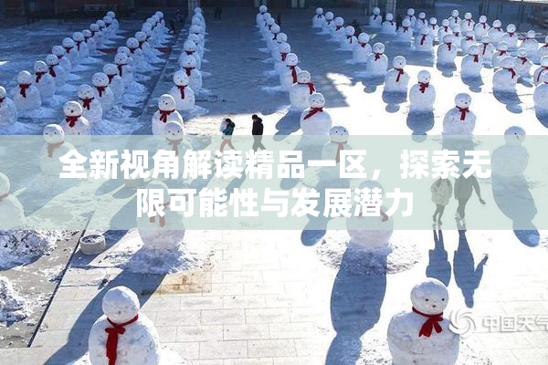 全新视角解读精品一区，探索无限可能性与发展潜力