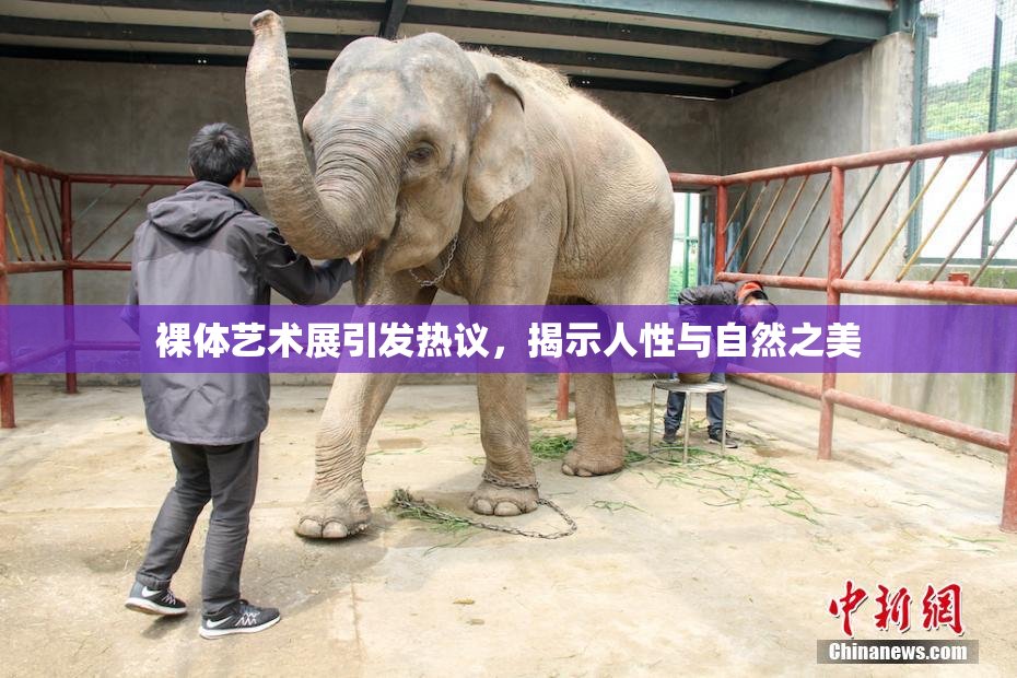 裸体艺术展引发热议，揭示人性与自然之美
