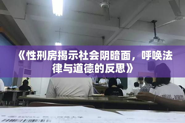 《性刑房揭示社会阴暗面，呼唤法律与道德的反思》