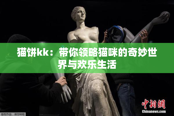猫饼kk：带你领略猫咪的奇妙世界与欢乐生活