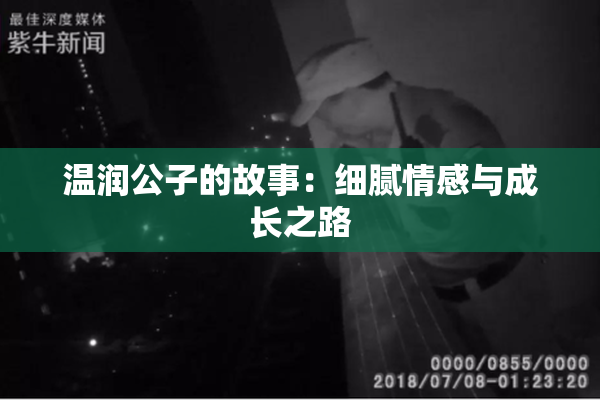 温润公子的故事：细腻情感与成长之路
