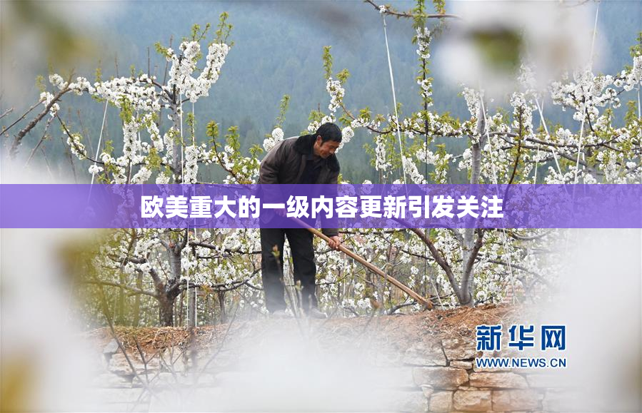 欧美重大的一级内容更新引发关注
