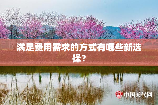 满足费用需求的方式有哪些新选择？