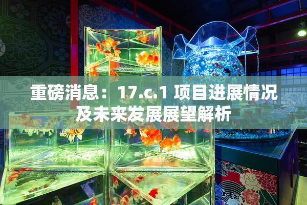 重磅消息：17.c.1 项目进展情况及未来发展展望解析