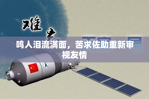 鸣人泪流满面，苦求佐助重新审视友情
