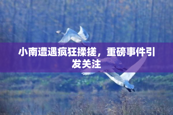 小南遭遇疯狂揉搓，重磅事件引发关注