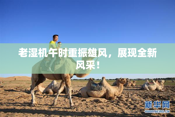 老湿机午时重振雄风，展现全新风采！