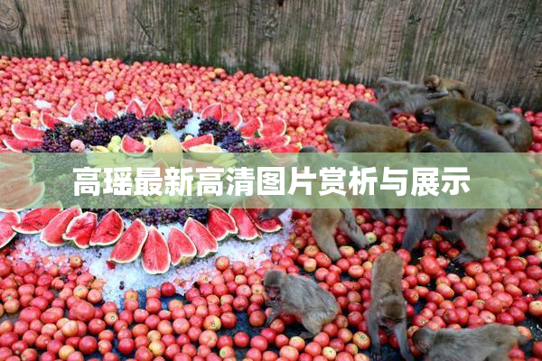 高瑶最新高清图片赏析与展示