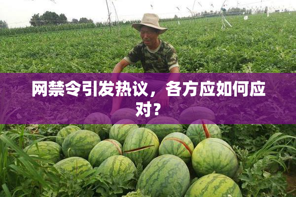 网禁令引发热议，各方应如何应对？