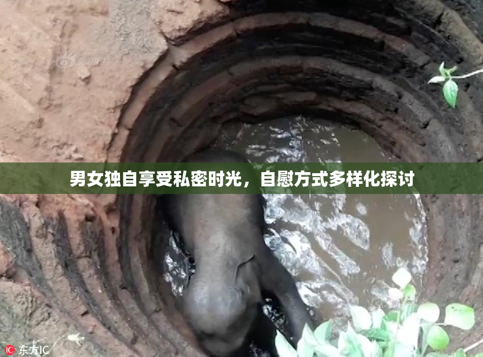 男女独自享受私密时光，自慰方式多样化探讨